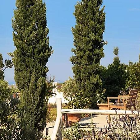 Christou Estate & Villas Pýrgos Buitenkant foto