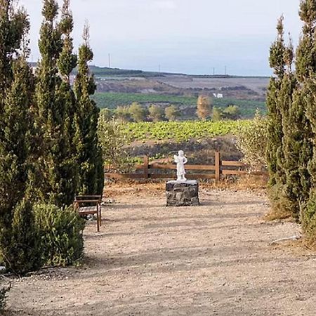 Christou Estate & Villas Pýrgos Buitenkant foto