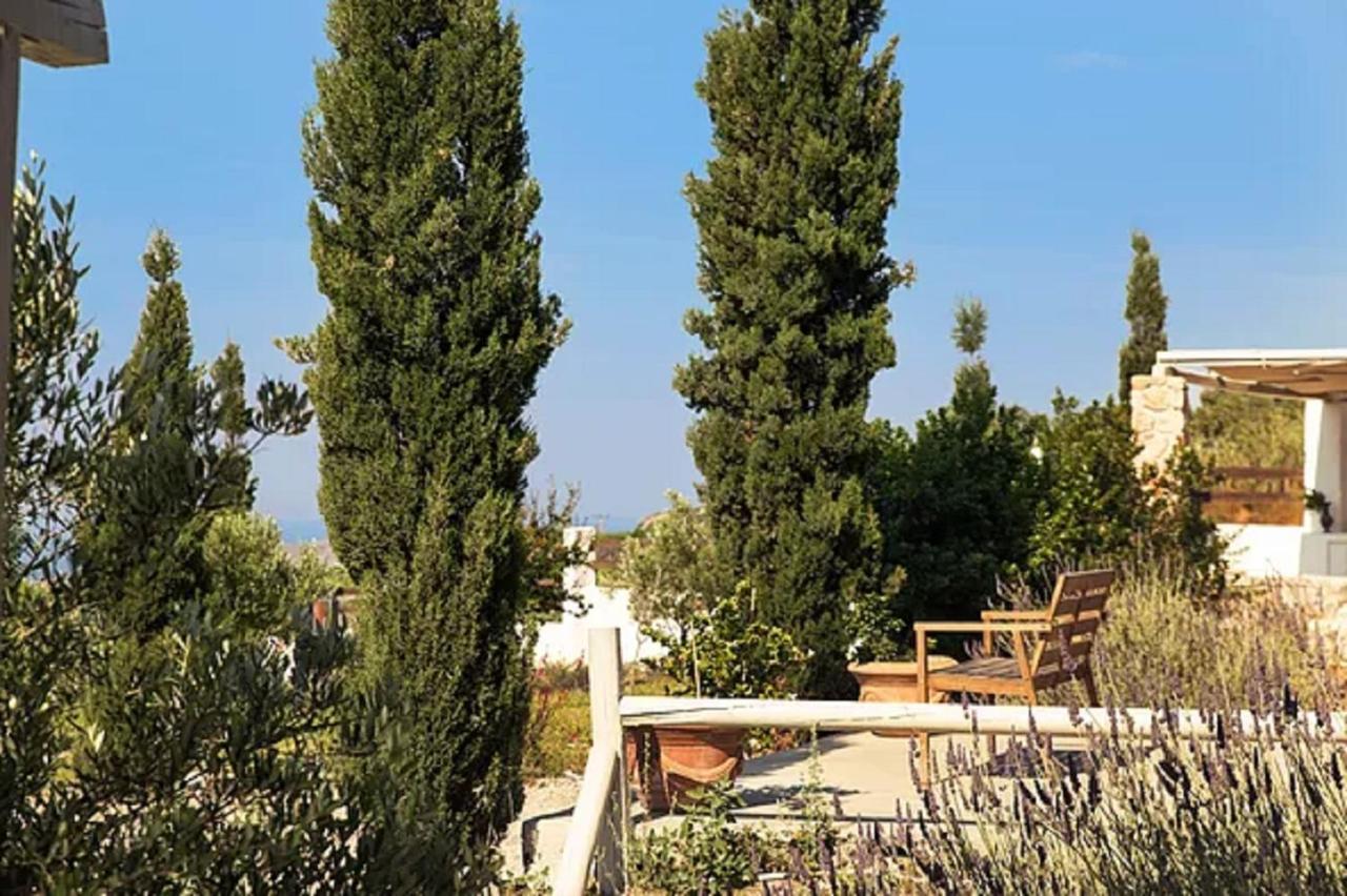Christou Estate & Villas Pýrgos Buitenkant foto