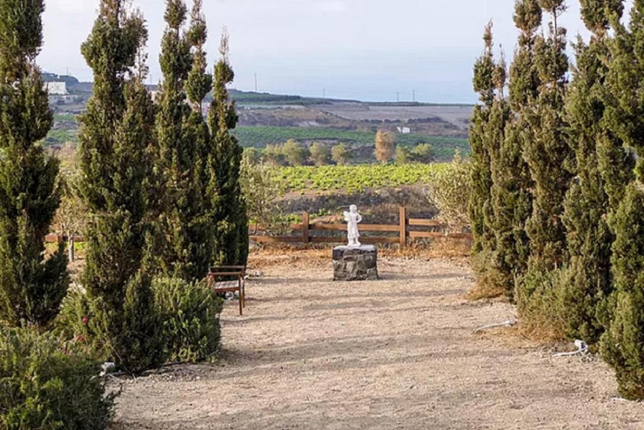Christou Estate & Villas Pýrgos Buitenkant foto